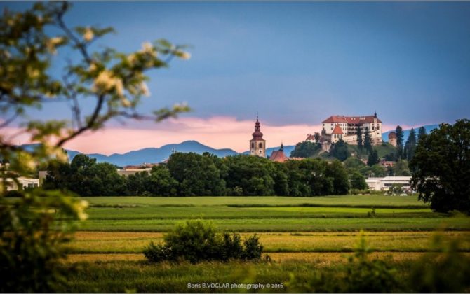 Ptujski resničnostni šov
